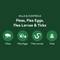 Plus Cat Flea and Tick Treatment | 6-Month Supply, Over 1.5 lbs | Flea Treatment for Cats & Kittens | 24-Hour Activation