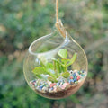 0.88 LB Colored Pea Gravel,Succulent Cactus Topper Dressing Pebbles,3-5mm