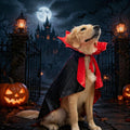 Golden Retriever Halloween Costume, Extra Large Dog Vampire Cape Cloak for Great Dane German Shepherd, Big Dog Halloween