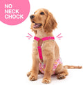 Pet Soft Dog Suspenders 2 Pieces Female Dog Diaper Suspenders for Dogs Diaper Keeper Suspender for Dogs Skirt, Dress, Diapers (Cute Hearts, S/M)
