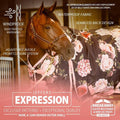 Jeffers Expression 1200D Turnout Horse Blanket, 240G, 72" - Rose Garden