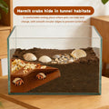Hermit Crab Cave Habitat with Climbing Tunnel, 2-in-1 Cave Shelter & Feeding Dish, Textured Climbing Ramp & Viewing Wind
