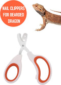 Stainless Steel Bearded Dragon Nail Clippers,Lizard Nail Clippers,Bearded Dragon Supplies,Bearded Dragon Nail Scissors f