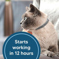 Flea Collar for Cats, Cat Flea Collar, Kitten Flea Collar, Flea and Tick Collars for Cats, Adjustable Cat Tick Collar wi