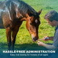 Ivermectin Horse Paste Dewormer , Horse Wormer Paste, Apple Flavor, 0.21 Ounces, 6 Pack