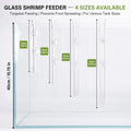 LINLAN 7.87-inch Glass Shrimp Feeder, Aquarium Feeding Tube and Square Bowl with Two Suction Cups, Prevent Food from Spr