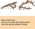 BNOSDM 2PCS Reptile Wood Branches Decor,Lizard Habitat Natural Wood Decoration,Snake Climbing Branch Accessories,Terrari