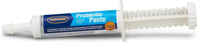 Farnam Probiotic Paste Horses in Syringe Supports Healthy Microbial Balance