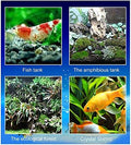 HEEPDD Decorative Fish Tank Divider Feet, 100 Pack Adjustable Support Feet Nails for Aquarium Isolation Board, Stable Sp