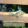 GECKOPIA Reptile Flex Bridge Large (Plain Wood, 18 Inch Long)