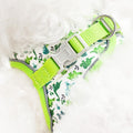 Step in Dog Harness and Leash Set, Pet Vest Harness, Bee XS
