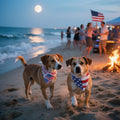 CozyHaus 2PCS Dual-Layer Design Patriotic Dog Bandanas Outfit,Large Summer Triangle Reversible Memorial Day Independence Day American Flag 4th of July Scarf for Big Boy and Girl Dogs Red White Blue