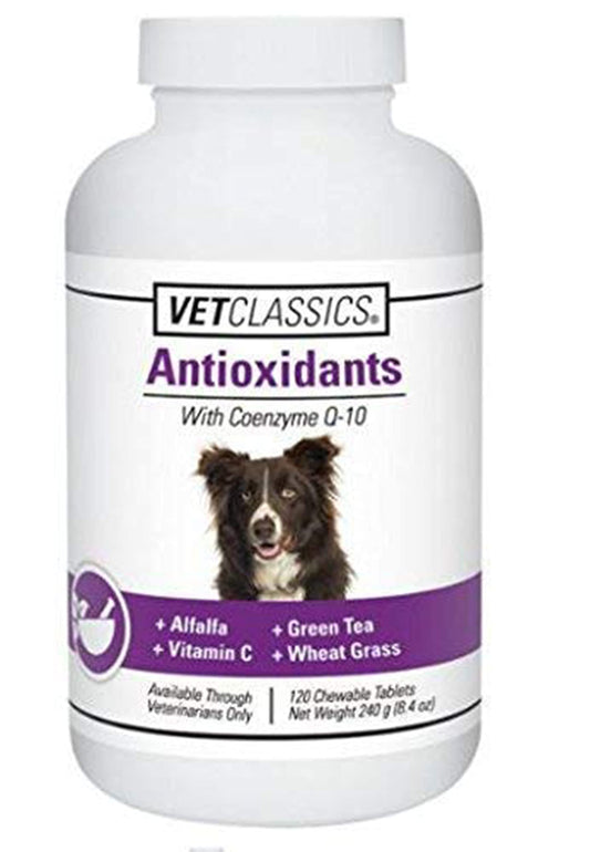 Vet Classics Coenzyme Q-10 Antioxidant Dog Supplement – Pet Health Supplement for Dogs – Supports Overall Dog Wellness, Aging – Includes Green Tea, Vitamin C, Wheat Grass – Chewable Tablets 120 Ct.