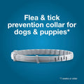 Seresto Flea & Tick Collar for Dogs Over 18 lbs., Treatment & Prevention, Vet-Recommend, 8 Month Protection (Pack of 2)