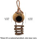 SunGrow Crested Gecko, Snake & Ball Python Coco Hut, Treat & Food Dispenser, Climbing Porch, Hiding, Ideal for Reptiles,