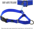 Max and Neo Nylon Martingale Collar - We Donate to a Dog Rescue for Every Collar Sold (Medium, Purple)