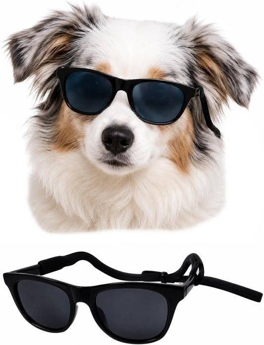 G006 Dog Medium Breeds 20-40 lbs Pet Cat 80s Costume Prop Sunglasses (Black)