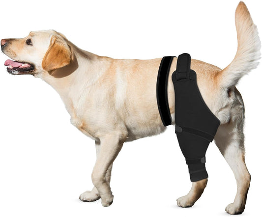 Dog Rear Leg Sleeve to Stop Licking, Hind Leg Protector After TPLO Recovery, ACL Surgery, Wounds or Skin Issues, Soft Br