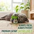 Smokey's Stash Catnip for Cats, 3 Resealable Pop Top Cans, North American Grown, 100% Natural, Encourages Play and Activ