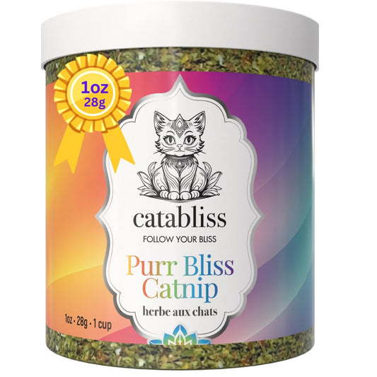 catabliss Catnip for Cats – 1oz Jar - 100% Essential Natural Cat Nip Herb Resealable Jar - Fresh Aroma Stimulates Activity & Enhancing Play for Indoor Cats - Great for Cat Nip Toys, Play & Training