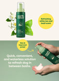 Earth Rated Waterless Dog Shampoo & Conditioner, Convenient No-Rinse Wash for Cleaning, Conditioning & Detangling, for All Coat Types, Refreshing White Tea and Basil Scent, 7 oz