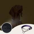 Martingale Collar for Dogs with Chain,Heavy Duty Dog Collar for Medium Dogs