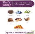 AMBER NATURALZ Reptaid for Reptiles Under 250g, Immune & Respiratory