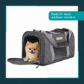 rocket & rex Premium Washable Pet Carrier Pads, Reusable, Waterproof & Absorbent, Dog and Cat Pads for Lining Travel Carriers, Litter Boxes, Pet Crates & More, 17.5" x 11" (Pack of 2)