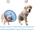 Dog’s Recovery Suit Post Surgery Shirt for Female Male Dog, E-Collar Alternative Wound Protective Clothes (Grey orange-2