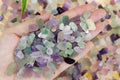 Fluorite Aquarium Gravel Rocks Natural Tumbled Healing Crystal Chips Bulk Gemstones Tumbled Crushed Stones for Fountain 