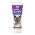 PetAg Vitamin & Mineral Gel Supplement for Cats - 3.5 oz - Provides Basic Daily Vitamins & Minerals for Cats 4 Months and Older - Easy to Digest