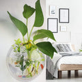 2Pack 5.9IN Wall Fish Bowl, Acrylic Wall Organizer for Toy Storage and Display,Hanging Planters Terrarium