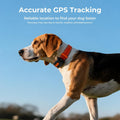 Dog GPS Tracker No Subscription, Off-Grid, Up to 3 Mile Long Range