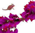 2 Pack Realistic Silk Hanging Plants for Reptile Terrarium, Non-Toxic Artificial Pink Decor, Safe Habitat for Bearded Dr
