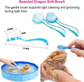 6Pcs Bearded Dragon Pool – Foldable Reptile Bathtub & Towel (Large or Medium Size), Bath Brush, Spray Bottle & Plastic Tweezers for Bearded Dragons, Bearded Dragon Bath Accessories (Medium)