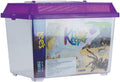 Lee's Kritter Keeper, Rectangle with Lid - Small, Assorted Colors