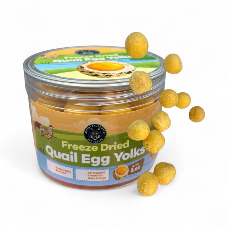 Ancestral Hunter Freeze Dried Quail Egg Yolk for Cats and Dogs - Single Ingredient Healthy Treats - 100% Quail Egg Yolk - Pet Food Meal Topper for Cats & Dogs - 3 OZ.