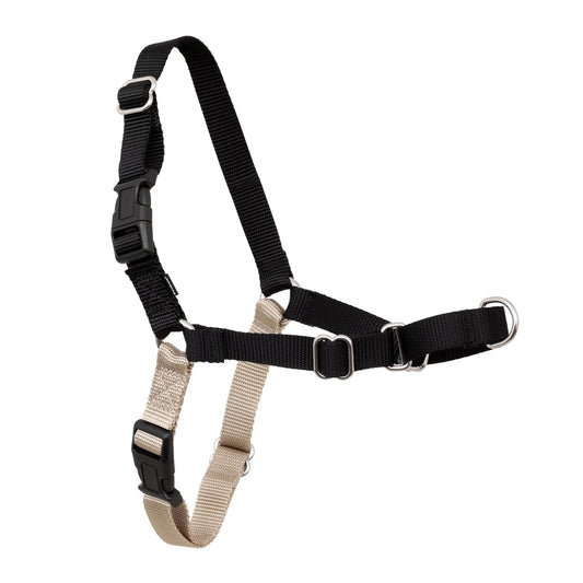 PetSafe Easy Walk No-Pull Dog Harness - Ultimate Harness to Help Stop Pulling - Pull-Free Walks - Take Control & Teach Better Leash Manners - Patented Martingale Loop Design - Black, Large
