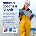 Premium Omega 3 Fish Oil for Cats - Wild Alaskan Salmon Oil Supplement for Skin and Coat - Liquid Cat Supplement for She