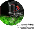 Mipukbay Large Aquarium Isolation Breeding Box, Acrylic Transparent Aquarium Breeder Box for Fish Fry Hatching, Shrimp B