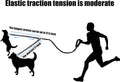 BAOBOTE Pet Double Dog Leash, Shock Absorbing Reflective Bungee Lead