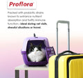 Proflora Probiotics for Cats-Complete Gut Health & Immune Support. Easy to Use Digestive Multi-Strain Probiotics. Easier Diet Transitions, Healthier Skin & Coat & Helps Treat Diarrhea. 30 Packets.