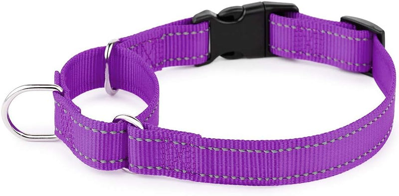 PLUTUS PET Reflective Martingale Collar with Quick Snap Buckle,No Pull Dog Choker Collar for Small Medium Large Dogs,S