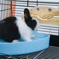 Hamiledyi Rabbit Hay Feeder, Bunny Hay Feeder Rack,Bunny Food Manger Wooden Hay Manger Rack Rabbit Hay Holder Feeders Gr