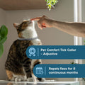 Flea Collar for Cats, Cat Flea Collar, Kitten Flea Collar, Flea and Tick Collars for Cats, Adjustable Cat Tick Collar wi