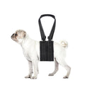 lenpestia Adjustable Dog Lift Harness Dog Sling Portable Dog Sling for Back Legs Harness for Senior,Injured,Disabled Dogs After ACL Surgery (S)