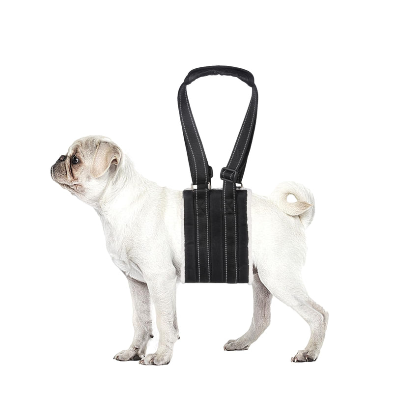 lenpestia Adjustable Dog Lift Harness Dog Sling Portable Dog Sling for Back Legs Harness for Senior,Injured,Disabled Dogs After ACL Surgery (S)