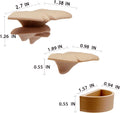 2 Pack Jumping Spider Accessories Mushroom Ledges & 1 Pack Water Bowl with Magnets for Spoods Jumping Spiders Magnetic L