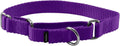 PetSafe Martingale Dog Collar, Deep Purple, 3/4 in, Small