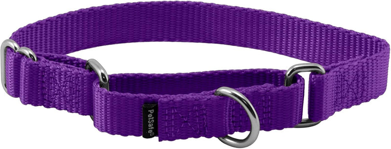PetSafe Martingale Dog Collar, Deep Purple, 3/4 in, Small
